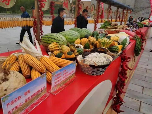 吳忠市曹泥洼村豐收節(jié) 休閑農(nóng)業(yè)精品線(xiàn)路推介與農(nóng)民歡慶共繪鄉(xiāng)村振興新畫(huà)卷